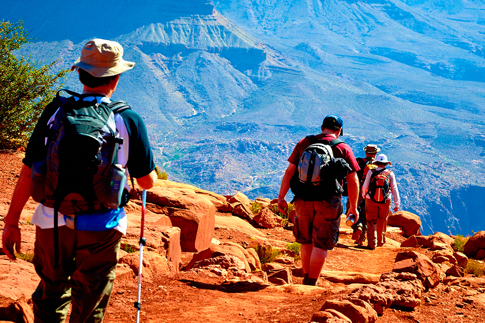 Group of hikers