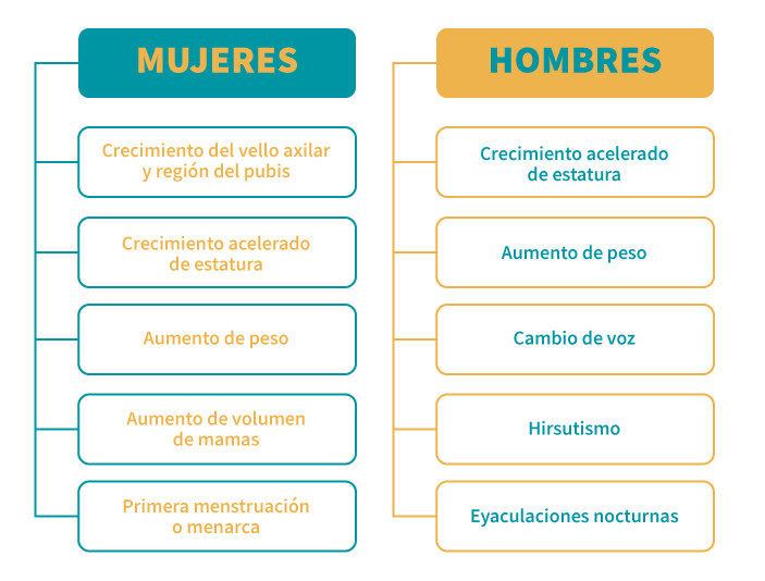 Algunos cambios físicos en el adolescente