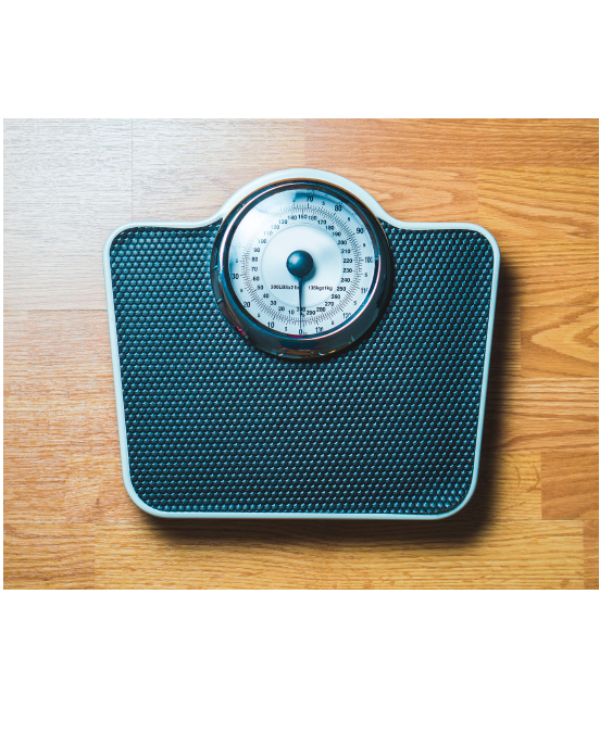 Scale for somatometry