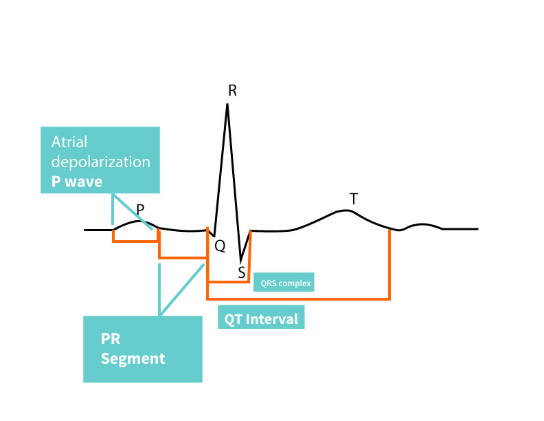 Indications of the electrocardiogram